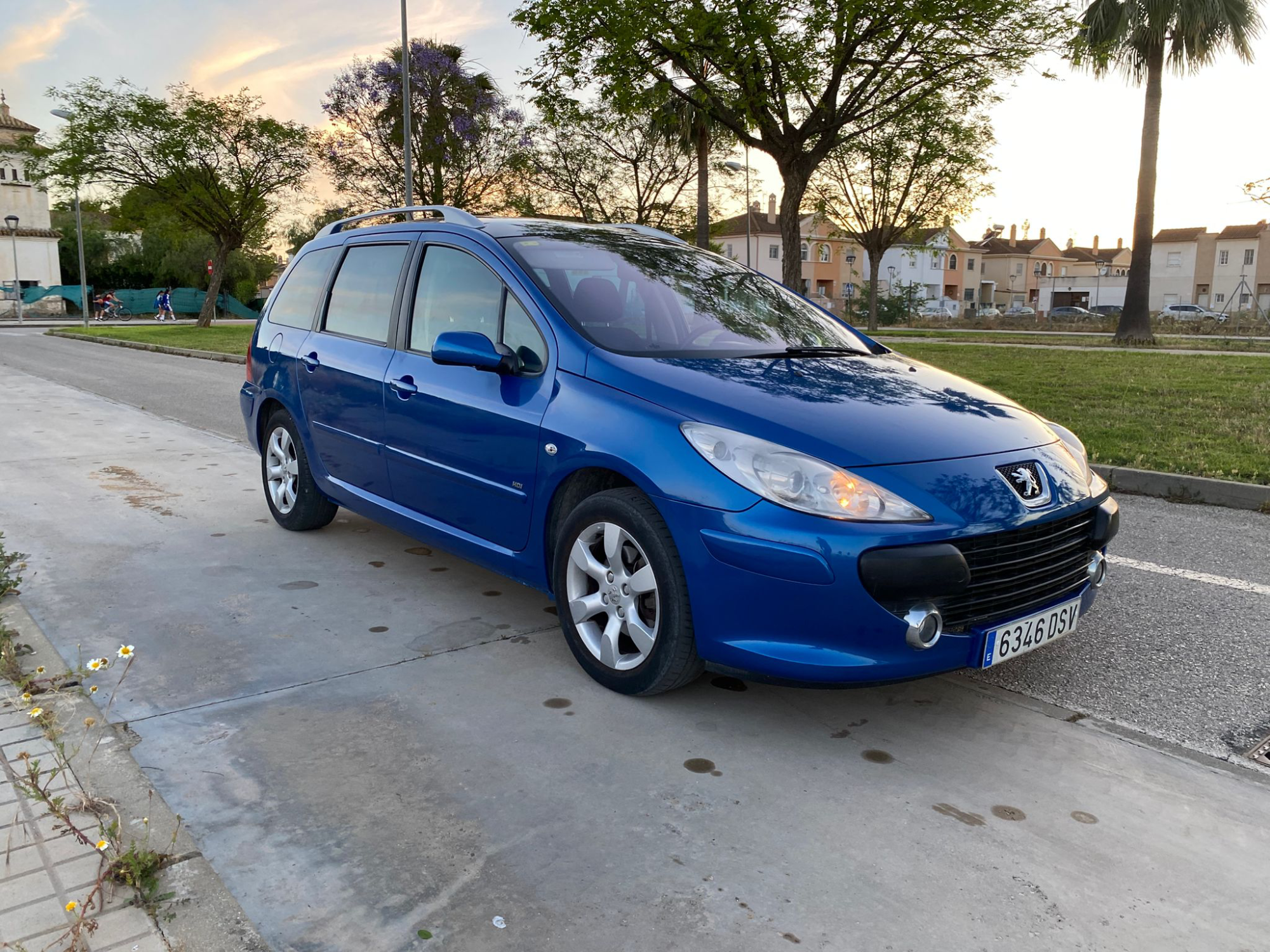 Peugeot 307 SW SW Pack 1.6 HDi 110 CV, vista principal